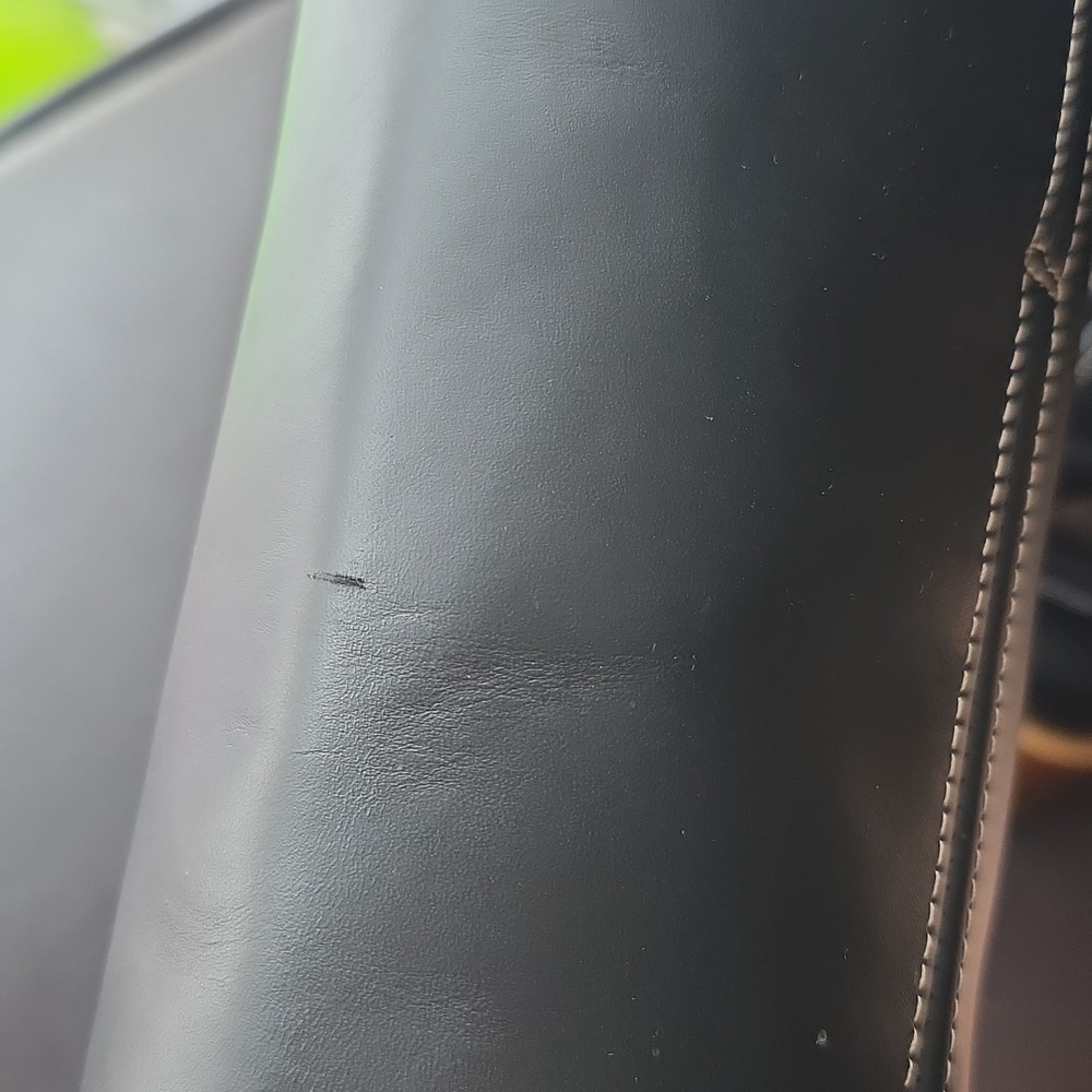 Frye Black Leather Heeled Boots - Picture 12 of 15